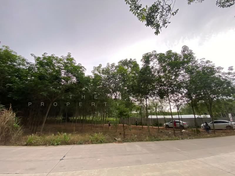 ที่ดินบ้านค่าย ระยอง, ระยอง, หนองตะพาน, บ้านค่าย, ระยอง, 8,700 ตร.ม., ที่ดิน ขาย, โดย The Best Property Agent อ้อม, 500412465 - DDproperty.com