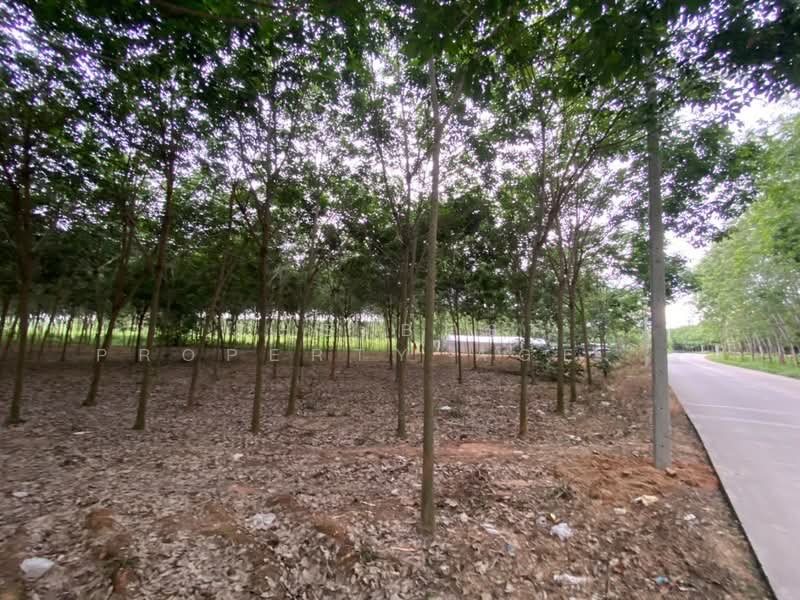 ที่ดินบ้านค่าย ระยอง, ระยอง, หนองตะพาน, บ้านค่าย, ระยอง, 8,700 ตร.ม., ที่ดิน ขาย, โดย The Best Property Agent อ้อม, 500412465 - DDproperty.com