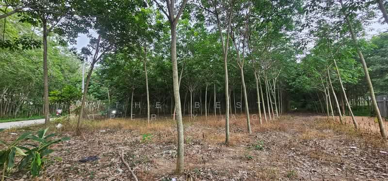 ที่ดินบ้านค่าย ระยอง, ระยอง, หนองตะพาน, บ้านค่าย, ระยอง, 8,700 ตร.ม., ที่ดิน ขาย, โดย The Best Property Agent อ้อม, 500412465 - DDproperty.com