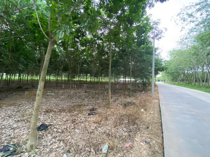 ที่ดินบ้านค่าย ระยอง, Rayong, Nong Taphan, Ban Khai, Rayong, , 8,700 sqm, Land For Sale, by The Best Property Agent อ้อม, 500412465 - DDproperty.com