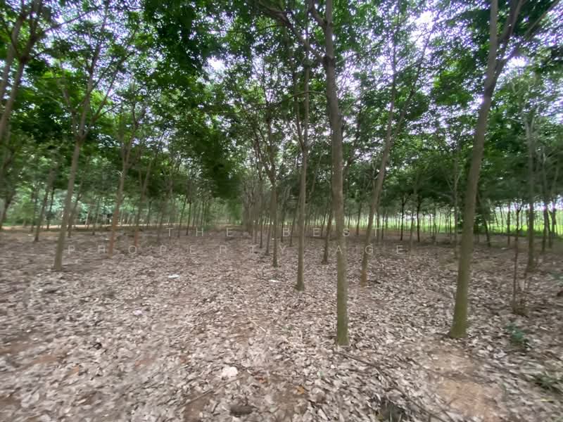 ที่ดินบ้านค่าย ระยอง, ระยอง, หนองตะพาน, บ้านค่าย, ระยอง, 8,700 ตร.ม., ที่ดิน ขาย, โดย The Best Property Agent อ้อม, 500412465 - DDproperty.com