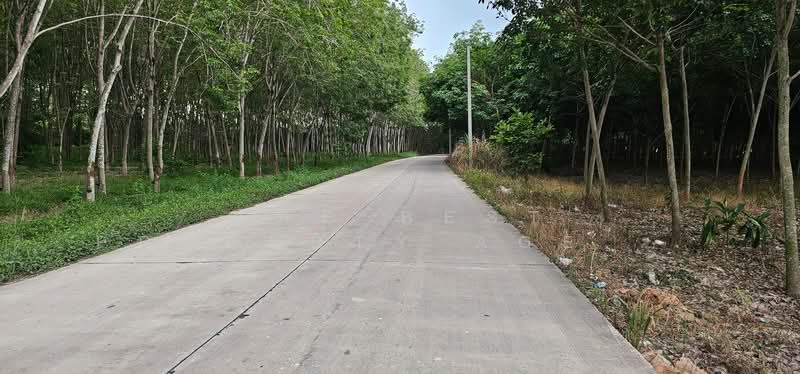 ที่ดินบ้านค่าย ระยอง, Rayong, Nong Taphan, Ban Khai, Rayong, , 8,700 sqm, Land For Sale, by The Best Property Agent อ้อม, 500412465 - DDproperty.com