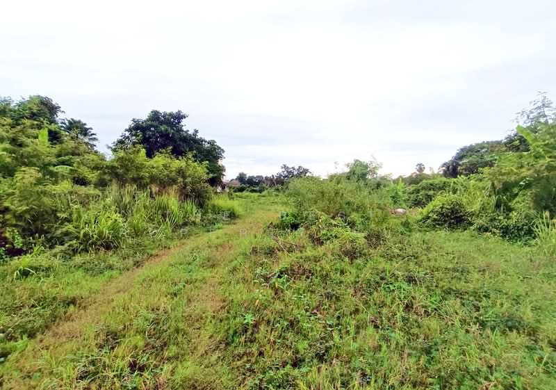 ที่ดินศรีราชา ชลบุรี, Chon Buri (Pattaya), Surasak, Si Racha, Chon Buri (Pattaya), , 1,596 sqm, Land For Sale, by The Best Property แบงค์, 500412476 - DDproperty.com