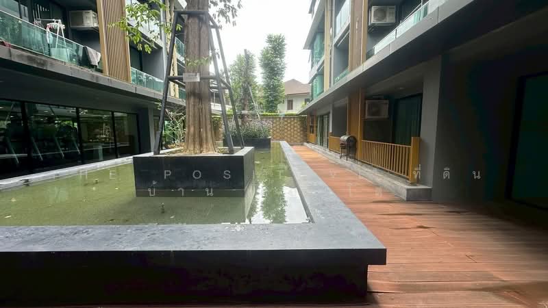The Star Hill Condo : เดอะ สตาร์ ฮิลล์ คอนโด, เชียงใหม่, 88 หมู่ 5 ถนนคันคลองชลประทาน, สุเทพ, เมืองเชียงใหม่, เชียงใหม่, 36 ตร.ม., คอนโด ให้เช่า, โดย The Positive ที่ดิน บ้าน คอนโด, 500412478 - DDproperty.com