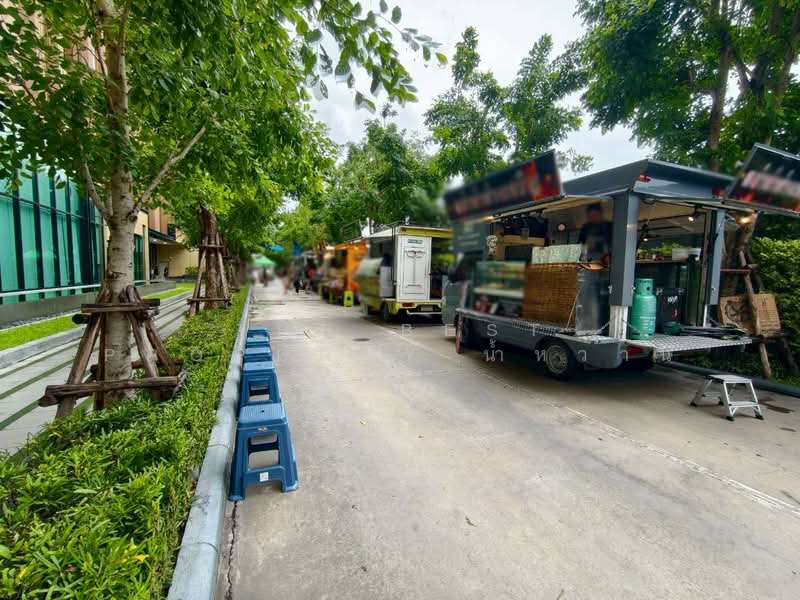Kensington Sukhumvit-Theparak, Samut Prakan, Thepharak Road, Thepharak, Muang Samut Prakarn, Samut Prakan, 1 Bedroom, 24 sqm, Condo For Sale, by The Best Property น้ำหวาน, 500412525 - DDproperty.com