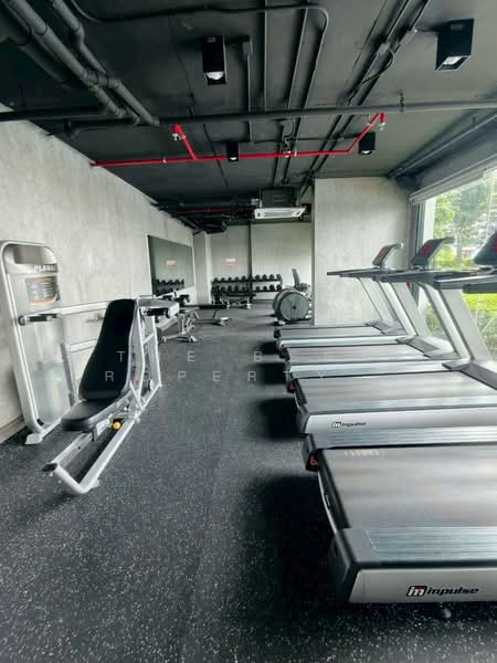 Kensington Sukhumvit-Theparak : เคนซิงตัน สุขุมวิท-เทพารักษ์, สมุทรปราการ, ถนนเทพารักษ์, เทพารักษ์, เมืองสมุทรปราการ, สมุทรปราการ, 24 ตร.ม., คอนโด ขาย, โดย The Best Property น้ำหวาน, 500412525 - DDproperty.com