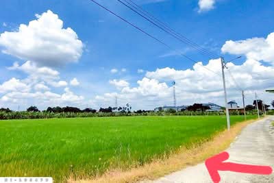 ขาย - ที่ดินบางคูวัต ติดคลองหนามแดง 1 ไร่ 226.7 ตร.ว. ปทุมธานี ใกล้สำนักงานเทศบาลตำบลบางเดื่อ NI-105479, ปทุมธานี