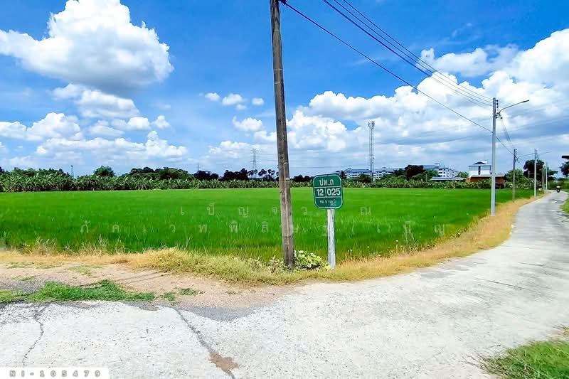 ที่ดินบางคูวัต ติดคลองหนามแดง 1 ไร่ 226.7 ตร.ว. ปทุมธานี ใกล้สำนักงานเทศบาลตำบลบางเดื่อ NI-105479, ปทุมธานี, บางคูวัด, เมืองปทุมธานี, ปทุมธานี, 2,504 ตร.ม., ที่ดิน ขาย, โดย เบ็ญจวริณ ภัคเวทพิสิษฐ์(เบ็ญ), 500412542 - DDproperty.com