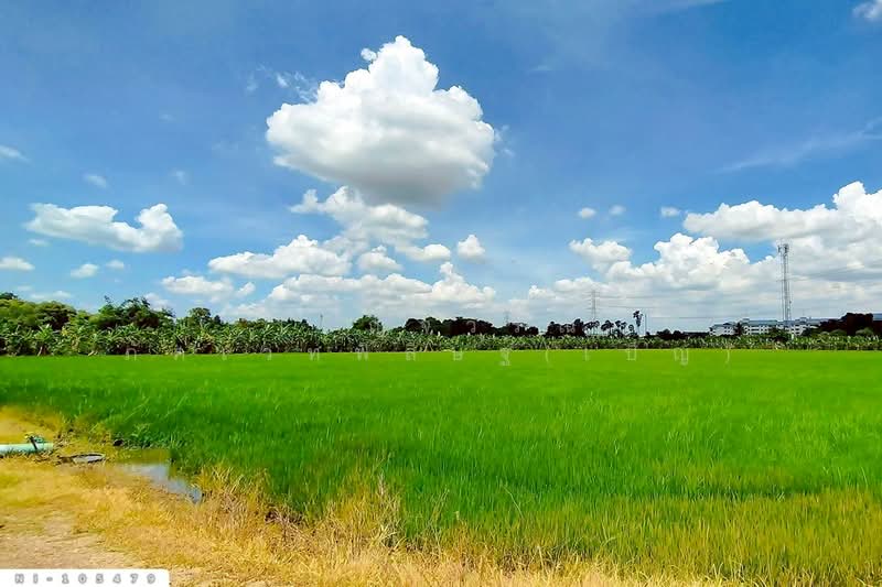 ที่ดินบางคูวัต ติดคลองหนามแดง 1 ไร่ 226.7 ตร.ว. ปทุมธานี ใกล้สำนักงานเทศบาลตำบลบางเดื่อ NI-105479, ปทุมธานี, บางคูวัด, เมืองปทุมธานี, ปทุมธานี, 2,504 ตร.ม., ที่ดิน ขาย, โดย เบ็ญจวริณ ภัคเวทพิสิษฐ์(เบ็ญ), 500412542 - DDproperty.com