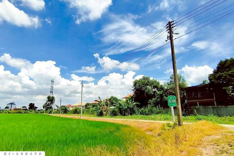 Land for sale in Bang Khu Wat, next to Khlong Nam Daeng, 1 rai 226.7 sq.w, NI-105479, Pathum Thani, Bang Khu Wat, Muang Pathum Thani, Pathum Thani, , 2,504 sqm, Land For Sale, by Benchawarin Pakkawetppisit, 500412542 - DDproperty.com