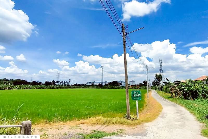 Land for sale in Bang Khu Wat, next to Khlong Nam Daeng, 1 rai 226.7 sq.w, NI-105479, Pathum Thani, Bang Khu Wat, Muang Pathum Thani, Pathum Thani, , 2,504 sqm, Land For Sale, by Benchawarin Pakkawetppisit, 500412542 - DDproperty.com