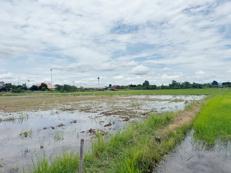 ที่ดินป่าซาง ลำพูน, ลำพูน, น้ำดิบ, ป่าซาง, ลำพูน, 2,692 ตร.ม., ที่ดิน ขาย, โดย The Best Property บอย, 500412640 - DDproperty.com