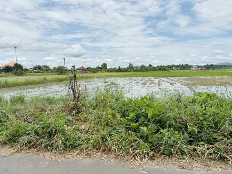 ที่ดินป่าซาง ลำพูน, ลำพูน, น้ำดิบ, ป่าซาง, ลำพูน, 2,692 ตร.ม., ที่ดิน ขาย, โดย The Best Property บอย, 500412640 - DDproperty.com
