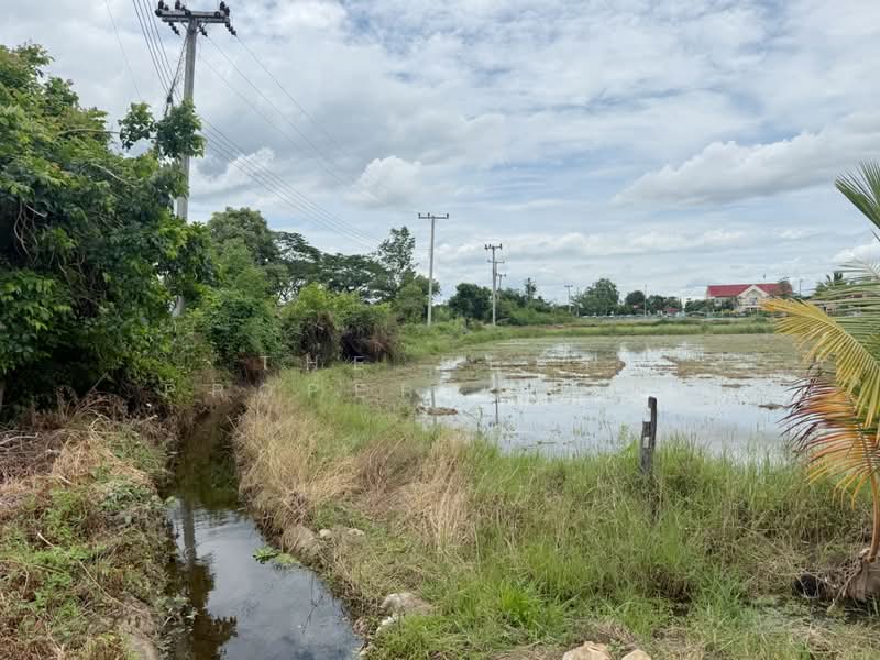 ที่ดินป่าซาง ลำพูน, ลำพูน, น้ำดิบ, ป่าซาง, ลำพูน, 2,692 ตร.ม., ที่ดิน ขาย, โดย The Best Property บอย, 500412640 - DDproperty.com