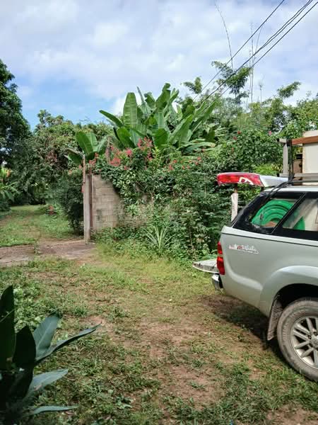 ที่ดิน 6 ไร่ อินทขิล หางดง แม่แตง เชียงใหม่, Chiang Mai, ถนน 3038, Intakhin, Mae Taeng, Chiang Mai, , 9,876 sqm, Land For Sale, by วิลาสินี เศรษฐกุล, 500412779 - DDproperty.com