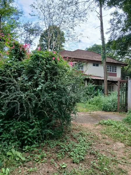 ที่ดิน 6 ไร่ อินทขิล หางดง แม่แตง เชียงใหม่, Chiang Mai, ถนน 3038, Intakhin, Mae Taeng, Chiang Mai, , 9,876 sqm, Land For Sale, by วิลาสินี เศรษฐกุล, 500412779 - DDproperty.com
