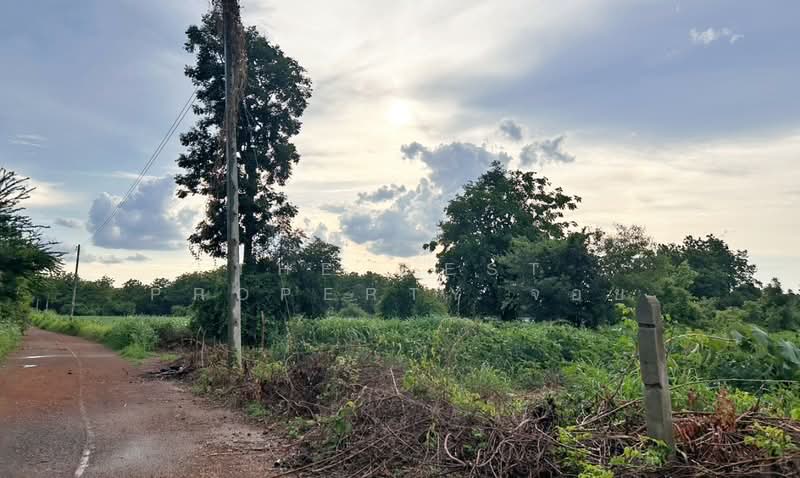 ที่ดินชนแดน เพชรบูรณ์, Phetchabun, Tha Khao, Chon Daen, Phetchabun, , 24,760 sqm, Land For Sale, by The Best Property จอย, 500412780 - DDproperty.com