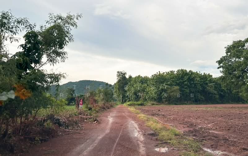 ที่ดินชนแดน เพชรบูรณ์, Phetchabun, Tha Khao, Chon Daen, Phetchabun, , 24,760 sqm, Land For Sale, by The Best Property จอย, 500412780 - DDproperty.com