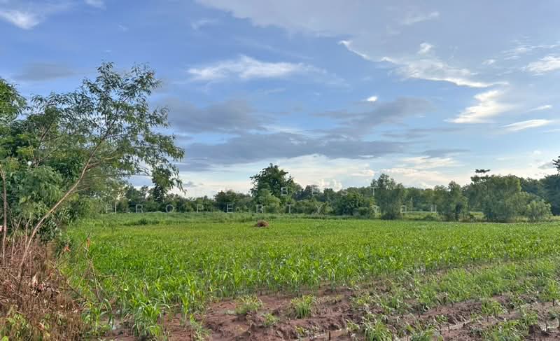 ที่ดินชนแดน เพชรบูรณ์, Phetchabun, Tha Khao, Chon Daen, Phetchabun, , 24,760 sqm, Land For Sale, by The Best Property จอย, 500412780 - DDproperty.com