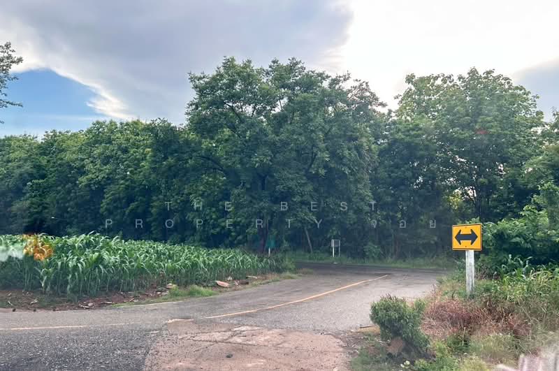 ที่ดินชนแดน เพชรบูรณ์, Phetchabun, Tha Khao, Chon Daen, Phetchabun, , 24,760 sqm, Land For Sale, by The Best Property จอย, 500412780 - DDproperty.com