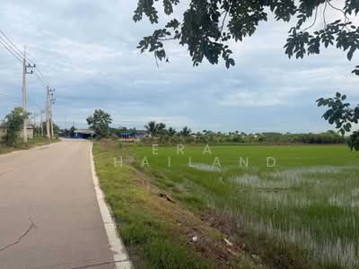 ขาย - ขายที่ผืนใหญ่สวยมาก 26 ไร่ อ.เมืองปทุมธานี, ปทุมธานี