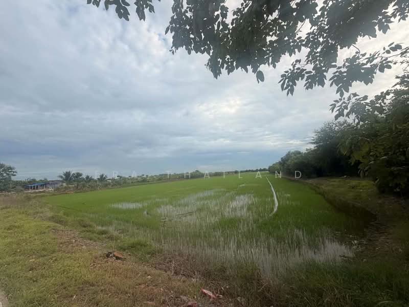 ขายที่ผืนใหญ่สวยมาก 26 ไร่ อ.เมืองปทุมธานี, ปทุมธานี, บางหลวง, เมืองปทุมธานี, ปทุมธานี, 41,600 ตร.ม., ที่ดิน ขาย, โดย ERA Thailand, 500412808 - DDproperty.com