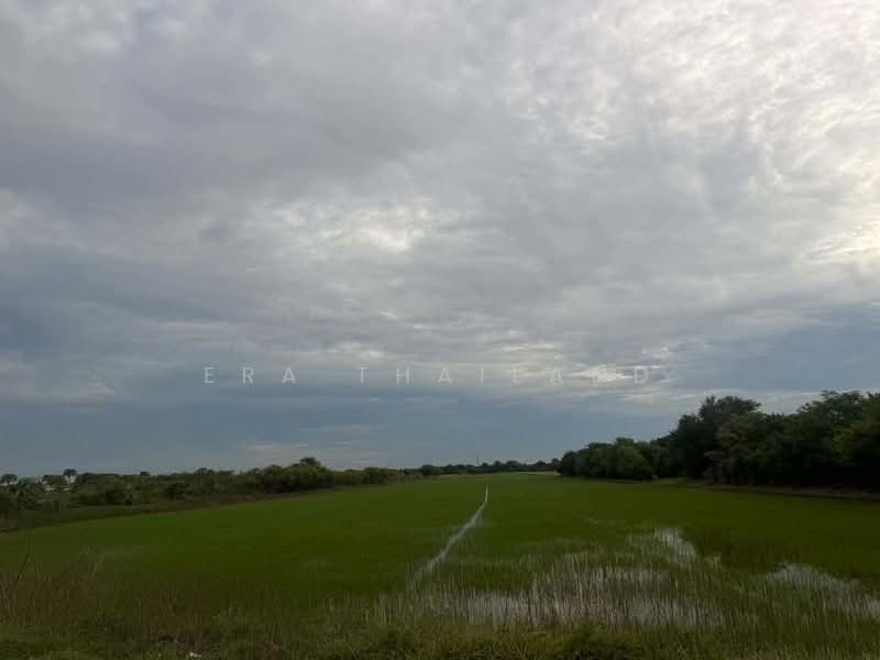ขายที่ผืนใหญ่สวยมาก 26 ไร่ อ.เมืองปทุมธานี, ปทุมธานี, บางหลวง, เมืองปทุมธานี, ปทุมธานี, 41,600 ตร.ม., ที่ดิน ขาย, โดย ERA Thailand, 500412808 - DDproperty.com