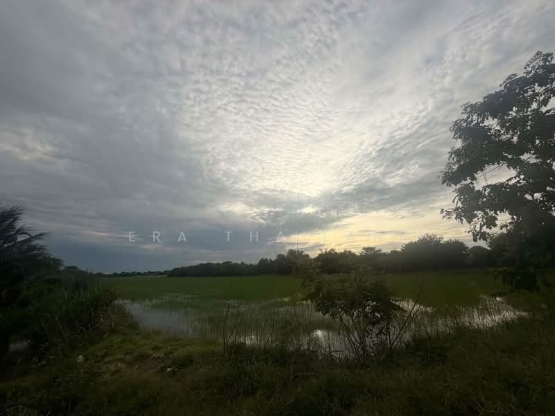 ขายที่ผืนใหญ่สวยมาก 26 ไร่ อ.เมืองปทุมธานี, ปทุมธานี, บางหลวง, เมืองปทุมธานี, ปทุมธานี, 41,600 ตร.ม., ที่ดิน ขาย, โดย ERA Thailand, 500412808 - DDproperty.com