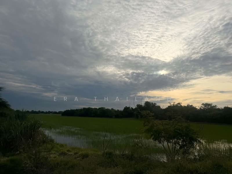 ขายที่ผืนใหญ่สวยมาก 26 ไร่ อ.เมืองปทุมธานี, Pathum Thani, Bang Luang, Muang Pathum Thani, Pathum Thani, , 41,600 sqm, Land For Sale, by ERA Thailand, 500412808 - DDproperty.com