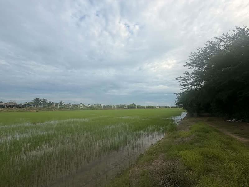 ขายที่ผืนใหญ่สวยมาก 26 ไร่ อ.เมืองปทุมธานี, Pathum Thani, Bang Luang, Muang Pathum Thani, Pathum Thani, , 41,600 sqm, Land For Sale, by ERA Thailand, 500412808 - DDproperty.com
