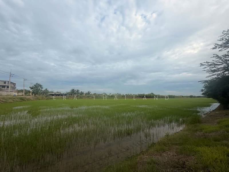 ขายที่ผืนใหญ่สวยมาก 26 ไร่ อ.เมืองปทุมธานี, Pathum Thani, Bang Luang, Muang Pathum Thani, Pathum Thani, , 41,600 sqm, Land For Sale, by ERA Thailand, 500412808 - DDproperty.com