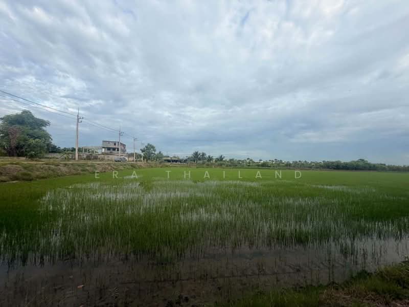 ขายที่ผืนใหญ่สวยมาก 26 ไร่ อ.เมืองปทุมธานี, ปทุมธานี, บางหลวง, เมืองปทุมธานี, ปทุมธานี, 41,600 ตร.ม., ที่ดิน ขาย, โดย ERA Thailand, 500412808 - DDproperty.com