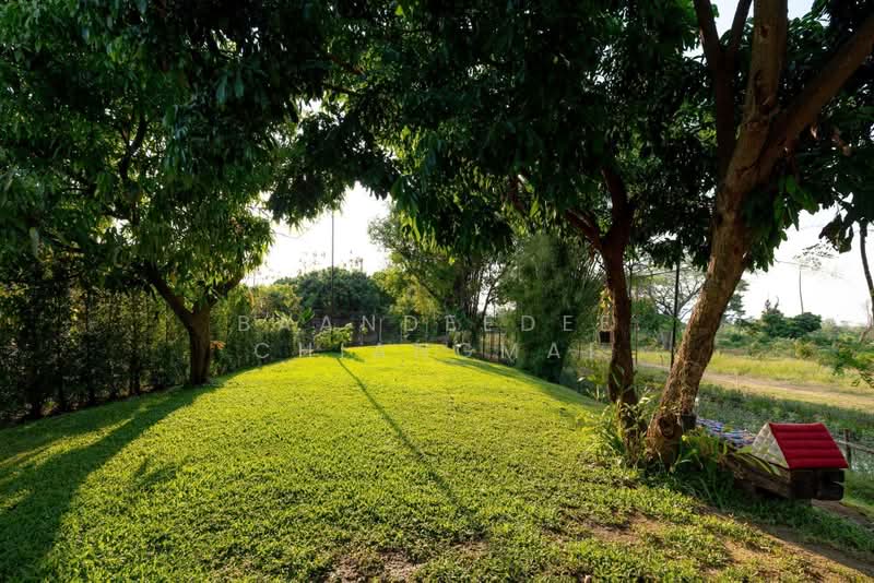 Luxury Pool Villa for Rent near 89 Plaza, Chiang Mai Rental Price: 120,000 THB / month No.15P011, Chiang Mai, Nong Phung, Saraphi, Chiang Mai, 4 Bedrooms, 400 sqm, Single Detached House For Rent, by Baandeedee Chiangmai, 500412830 - DDproperty.com
