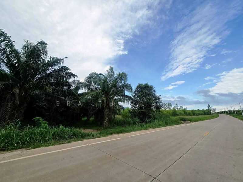 ขายที่ดิน 19 ไร่ ผังม่วงลาย หนองใหญ่ชลบุรี, Chon Buri (Pattaya), Hang Sung, Nong Yai, Chon Buri (Pattaya), , 30,400 sqm, Land For Sale, by ERA Thailand, 500412833 - DDproperty.com