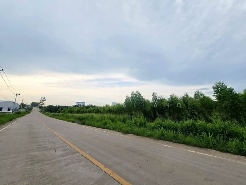 ขายที่ดิน 19 ไร่ ผังม่วงลาย หนองใหญ่ชลบุรี, Chon Buri (Pattaya), Hang Sung, Nong Yai, Chon Buri (Pattaya), , 30,400 sqm, Land For Sale, by ERA Thailand, 500412833 - DDproperty.com