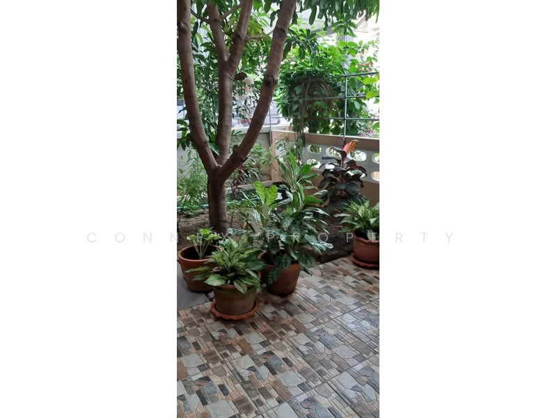 Sivalee Rangsit 1, Pathum Thani, Rangsit-Nakhon Nayok Road, Prachathipat, Thanyaburi, Pathum Thani, 3 Bedrooms, 200 sqm, Single Detached House For Sale, by Connex Property, 500412839 - DDproperty.com