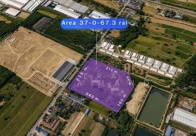ขาย - For Sale / ขาย ที่ดิน 37 ไร่ ผังสีม่วงลาย เขต EEC อ.นิคมพัฒนา จ.ระยอง, ระยอง