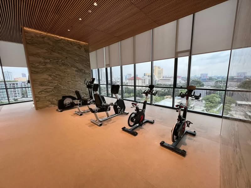 Oka Haus Sukhumvit 36, Bangkok, 3399 Rama 4 Road, Khong Tan, Khlong Toei, Bangkok, 2 Bedrooms, 41 sqm, Condo For Rent, by Phakawadee Jiramanee, 500412888 - DDproperty.com