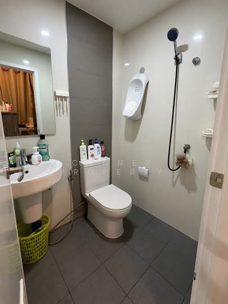 Gusto Townhome Ratchapruek - Rama 5 : กัสโต้ ทาวน์โฮม ราชพฤกษ์ - พระราม 5, นนทบุรี, ถนนบางกรวย - ไทรน้อย, บางกร่าง, เมืองนนทบุรี, นนทบุรี, 120 ตร.ม., ทาวน์เฮ้าส์ ขาย, โดย Connex Property, 500412905 - DDproperty.com