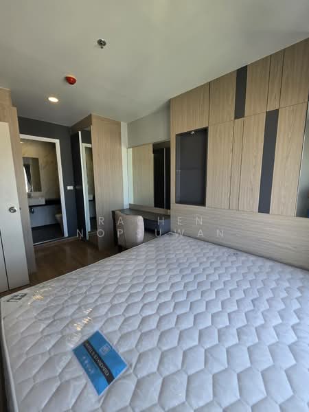 Plus Condo Hatyai 30m, Songkhla, No. 9 Rajyindee Rd, Hat-Yai, Hat Yai, Songkhla, 1 Bedroom, 30 sqm, Condo For Sale, by Rachen Nopsuwan, 500412922 - DDproperty.com