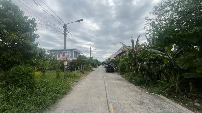 ที่ดินเปล่า 100 ตารางวา ร่วมสุข 2, Pathum Thani, ร่วมสุข 2, Lat Sawai, Lam Luk Ka, Pathum Thani, , 400 sqm, Land For Sale, by คุณ ชัยรัชต์ (กร), 500412967 - DDproperty.com
