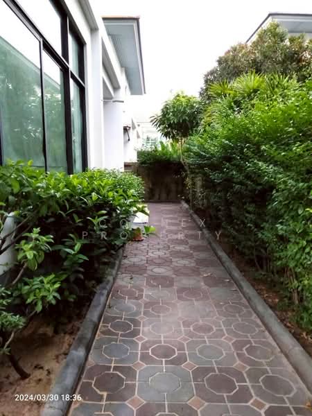 Setthasiri Chaengwattana-Prachachuen, Nonthaburi, Liap Khlong Prapa Road, Ban Mai, Pak Kret, Nonthaburi, 3 Bedrooms, 165 sqm, Single Detached House For Sale, by Connex Property, 500412984 - DDproperty.com