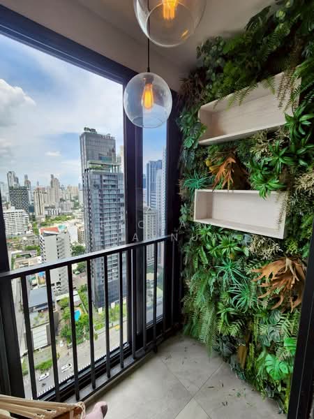 ASHTON Asoke, Bangkok, 131 Asoke Montri Road, Khlongtoei Nua, Watthana, Bangkok, 1 Bedroom, 34 sqm, Condo For Rent, by Chekchanok Chuaynual, 500413002 - DDproperty.com