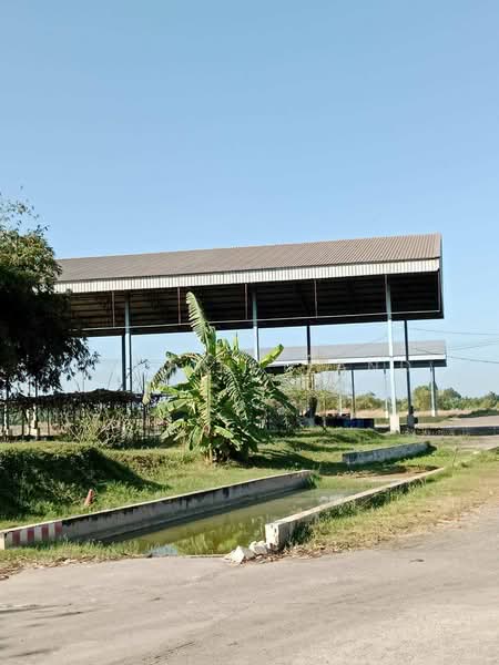 ขายโรงงาน พร้อมใบอนุญาต รง.106 จำนวน 2 ใบ ทำเลอุตสาหกรรม, Chachoengsao, Nong Mai Kaen, Plaeng Yao, Chachoengsao, , 2,300 sqm, Warehouse/Factory For Sale, by ERA Thailand, 500413067 - DDproperty.com