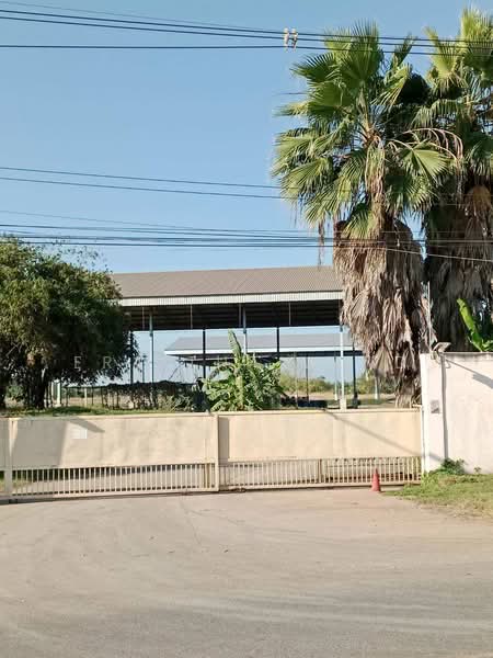 ขายโรงงาน พร้อมใบอนุญาต รง.106 จำนวน 2 ใบ ทำเลอุตสาหกรรม, Chachoengsao, Nong Mai Kaen, Plaeng Yao, Chachoengsao, , 2,300 sqm, Warehouse/Factory For Sale, by ERA Thailand, 500413067 - DDproperty.com