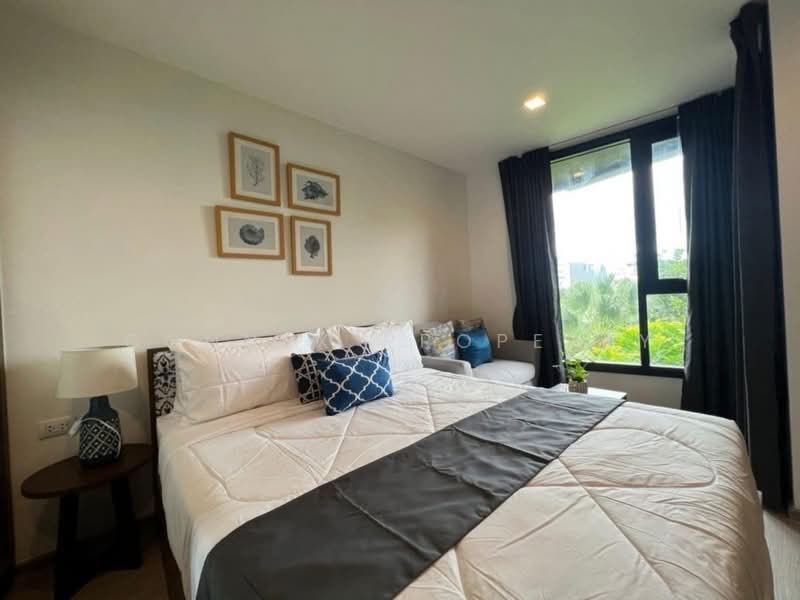The Base Central, Phuket, Chao Fah Tawan Tok Rd, Wichit, Muang Phuket, Phuket, 1 Bedroom, 25 sqm, Condo For Sale, by Connex Property, 500413145 - DDproperty.com