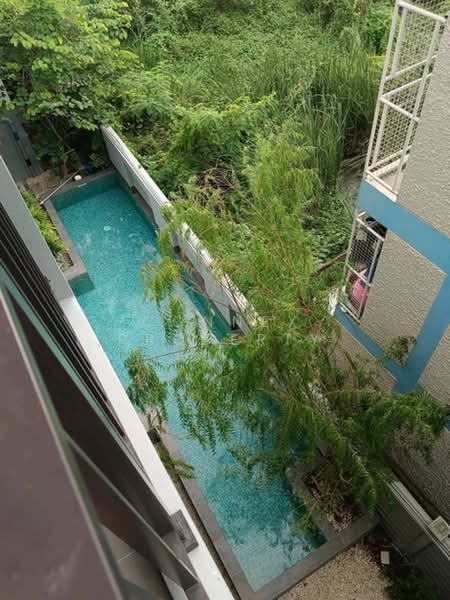 Feel Condo Ladprao 122, Bangkok, Wang Thonglang, Phlapphla, Wang Thonglang, Bangkok, 1 Bedroom, 27 sqm, Condo For Sale, by Connex Property, 500413159 - DDproperty.com