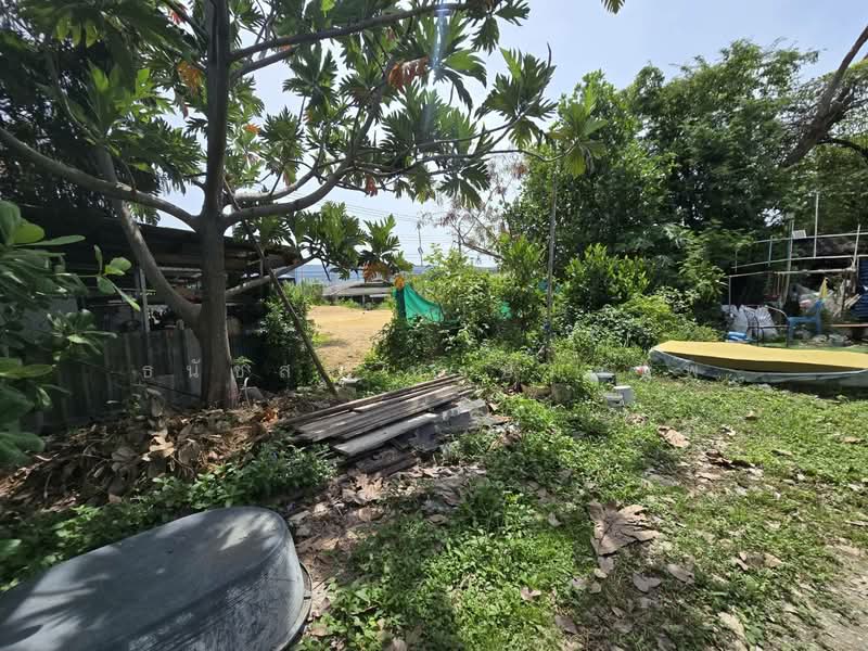Land for Sale 930.5 Sq.wha near, Nonthaburi, Bang Khu Rat, Bang Bua Thong, Nonthaburi, , 3,722 sqm, Land For Sale, by Thanatsorn Hongmanop, 500413191 - DDproperty.com