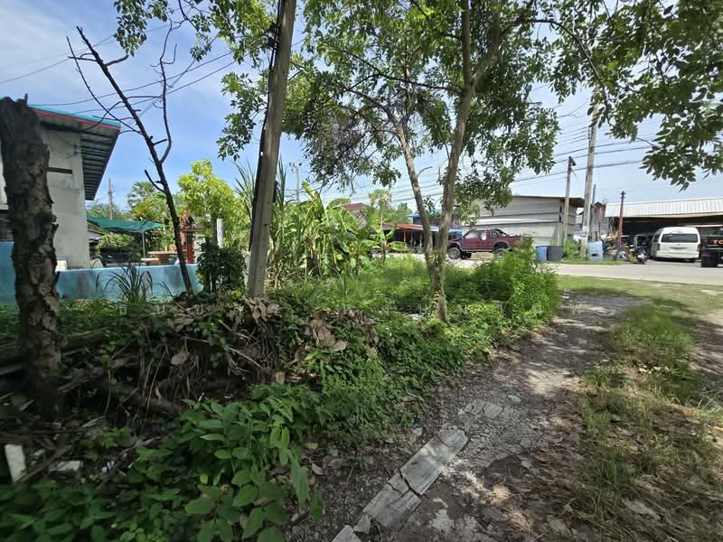Land for Sale 930.5 Sq.wha near, Nonthaburi, Bang Khu Rat, Bang Bua Thong, Nonthaburi, , 3,722 sqm, Land For Sale, by Thanatsorn Hongmanop, 500413191 - DDproperty.com