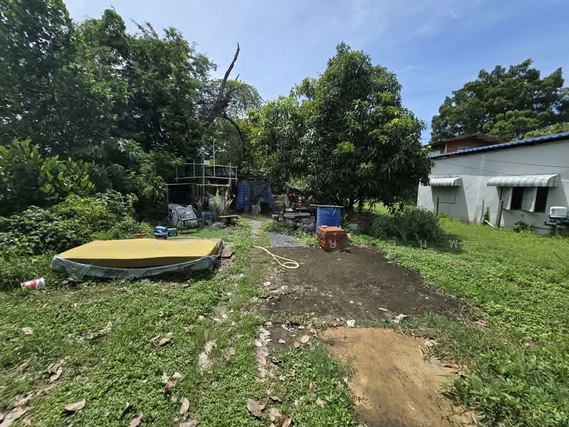 Land for Sale 930.5 Sq.wha near, Nonthaburi, Bang Khu Rat, Bang Bua Thong, Nonthaburi, , 3,722 sqm, Land For Sale, by Thanatsorn Hongmanop, 500413191 - DDproperty.com
